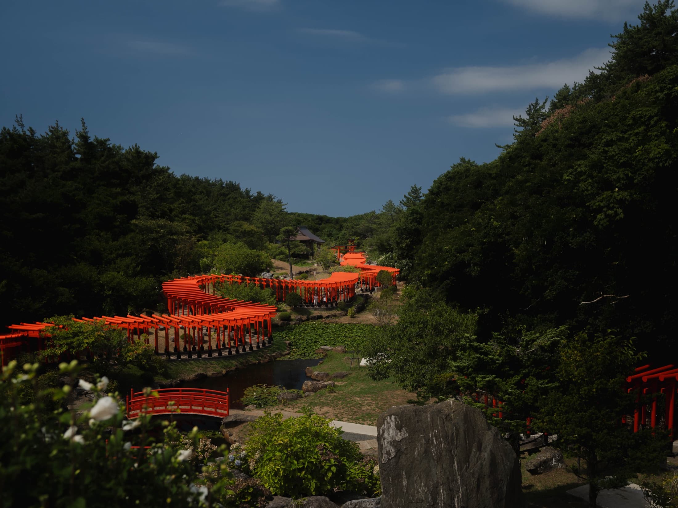 Red torii of Motonosumi Inari Shrine winding down toward the Sea of Japan.