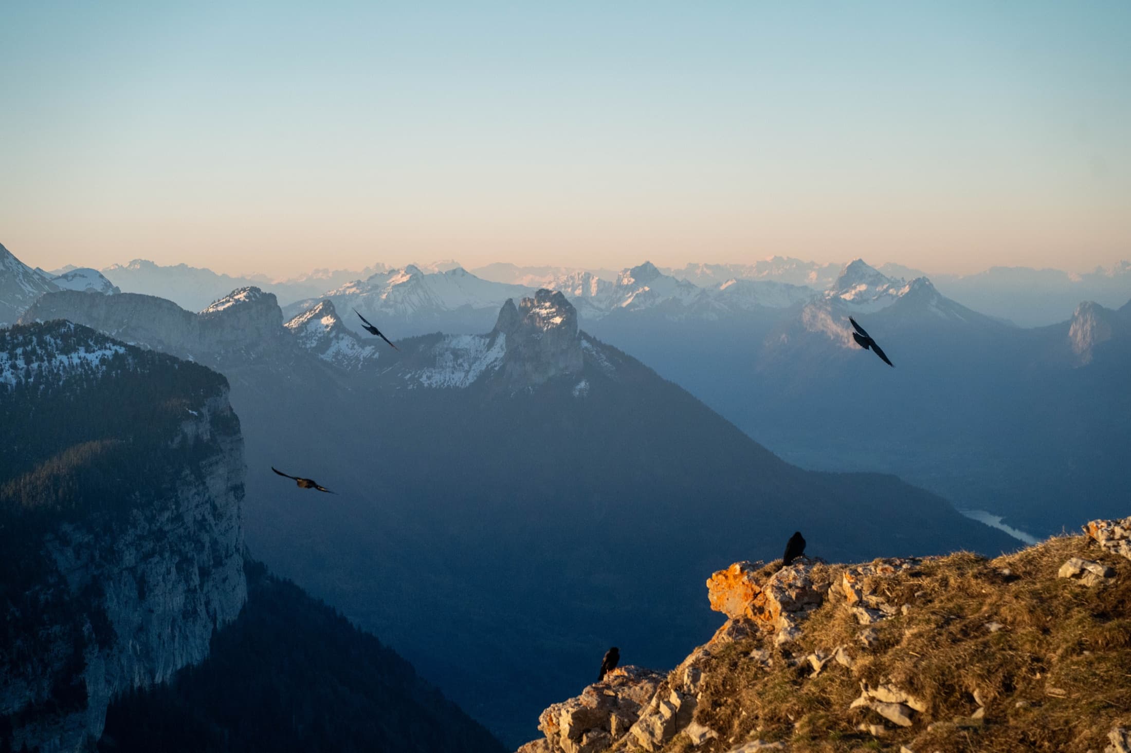 Birds of prey gliding over the Vercors at golden hour.