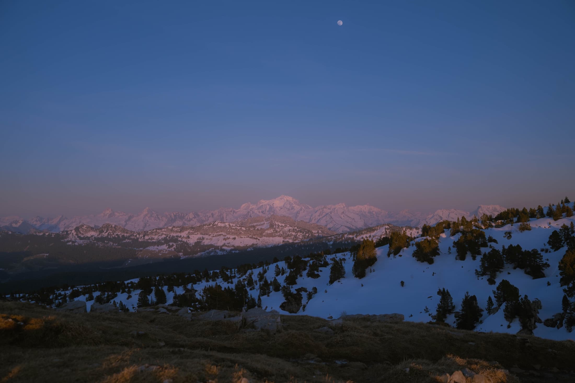 Full moon rising over Mont Blanc at dusk, seen from the Chartreuse plateau.